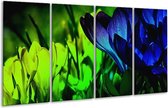 GroepArt - Glasschilderij - Krokus - Groen, Blauw, Zwart - 160x80cm 4Luik - Foto Op Glas - Geen Acrylglas Schilderij - 6000+ Glasschilderijen Collectie - Wanddecoratie