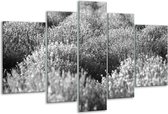 Peinture sur verre Fleurs | Gris, noir | 170x100cm 5 Liège | Tirage photo sur verre |  F006500