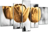 Glasschilderij Tulpen - Goud, Wit, Grijs - 170x100cm 5Luik - Foto Op Glas - Geen Acrylglas Schilderij - 6000+ Glasschilderijen Collectie - Wanddecoratie
