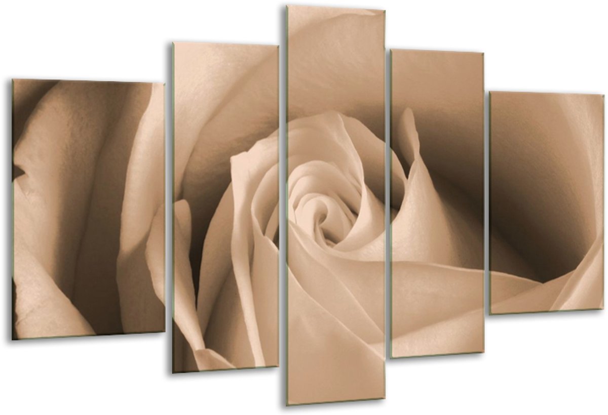 Glasschilderij Roos - Sepia, Bruin - 170x100cm 5Luik - Foto Op Glas - Geen Acrylglas Schil