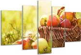 Peinture sur verre Pommes | Vert, rouge, marron | 170x100cm 5 Liège | Tirage photo sur verre |  F006007