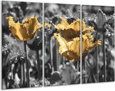 Glasschilderij Tulpen - Geel, Zwart - 120x80cm 3Luik - Foto Op Glas - Geen Acrylglas Schilderij - GroepArt 6000+ Glas Art Collectie - Maatwerk Mogelijk