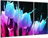 Glasschilderij Tulp - Blauw, Paars, Roze - 120x80cm 3Luik - Foto Op Glas - Geen Acrylglas Schilderij - GroepArt 6000+ Glas Art Collectie - Maatwerk Mogelijk