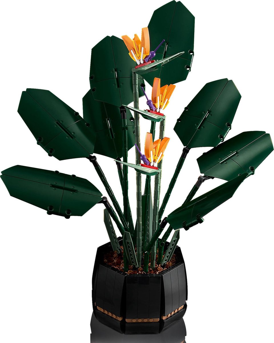 LEGO Botanicals Paradijsvogelplant 10289 — afbeelding 13