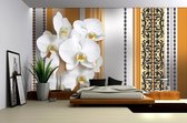 Fotobehang Vlies | Bloemen, Orchidee | Wit, Oranje | 368x254cm (bxh)