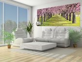 Flowering Trees Photo Wallcovering