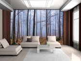 Nature Wood Forest Photo Wallcovering