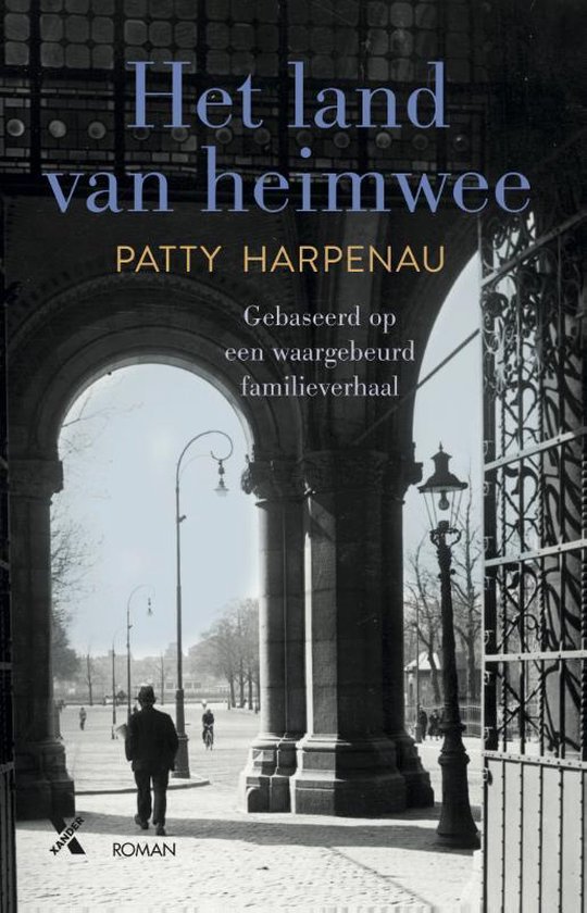 Omslag van Het land van heimwee MP door Patty Harpenau