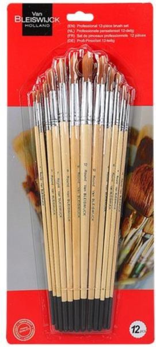 Penselenset - 12 Stuks - Professioneel - Van Bleiswijck - Voor Acryl- en Olieverf + Rheme Liniaal