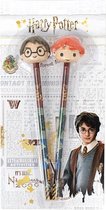 Harry Potter Set 2 pencils with 3D eraser toppers