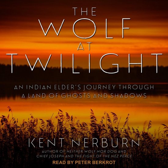 The Wolf at Twilight - cover