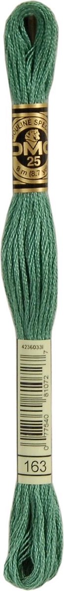 DMC Borduurgaren-163 Groen