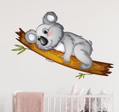 Muursticker koala beer op takMuursticker koala beer op tak | dieren kinderkamer en babykamer | muurdecoratie boom
