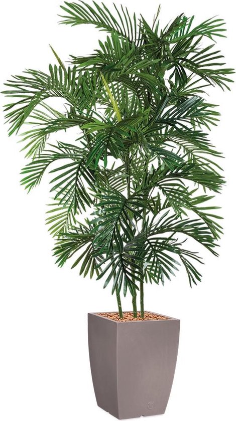 HTT - Kunstplant Areca palm in Genesis vierkant taupe H200 cm
