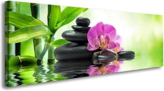 Schilderij - Spa Orchidee, Groen/Roze, 120X40cm, 1luik