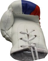 Mini Bokshandschoenen Rusland - Wit