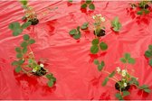 Kweekfolie voor aardbeien rood 5 meter - Aardbeientuin folie - Moestuin artikelen