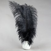 Struisvogelveren 5 stuks  - 45 - 60 cm Struisvogel veren - zwart - decoratie veren