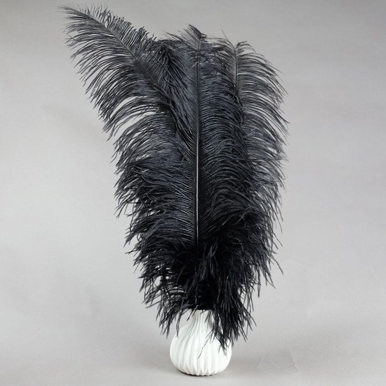 Struisvogelveren 5 stuks - 45 - 60 cm Struisvogel veren - zwart - decoratie  veren | bol