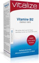 Vitalize Vitamine B12 Foliumzuur Energie Forte 100 smelttabletten - Extra sterke formule - Met actieve, direct voor het lichaam beschikbare vormen van vitamine B11 (foliumzuur) en B12
