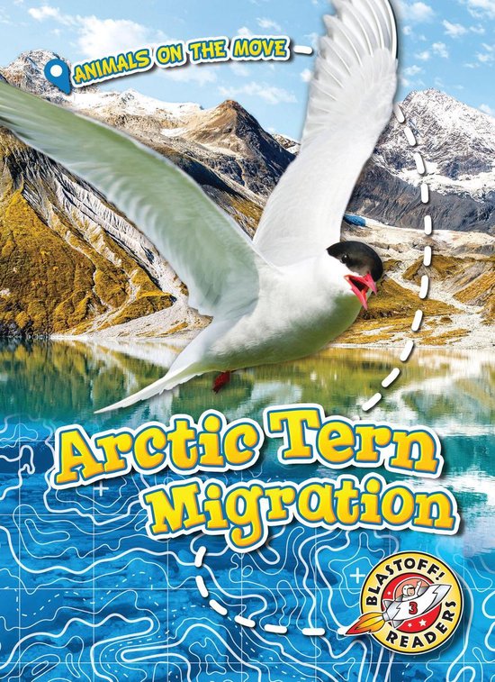 Animals on the Move - Arctic Tern Migration