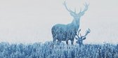 Schilderij - Herten opgenomen door het bos , Blauw wit , 3 maten , Premium print