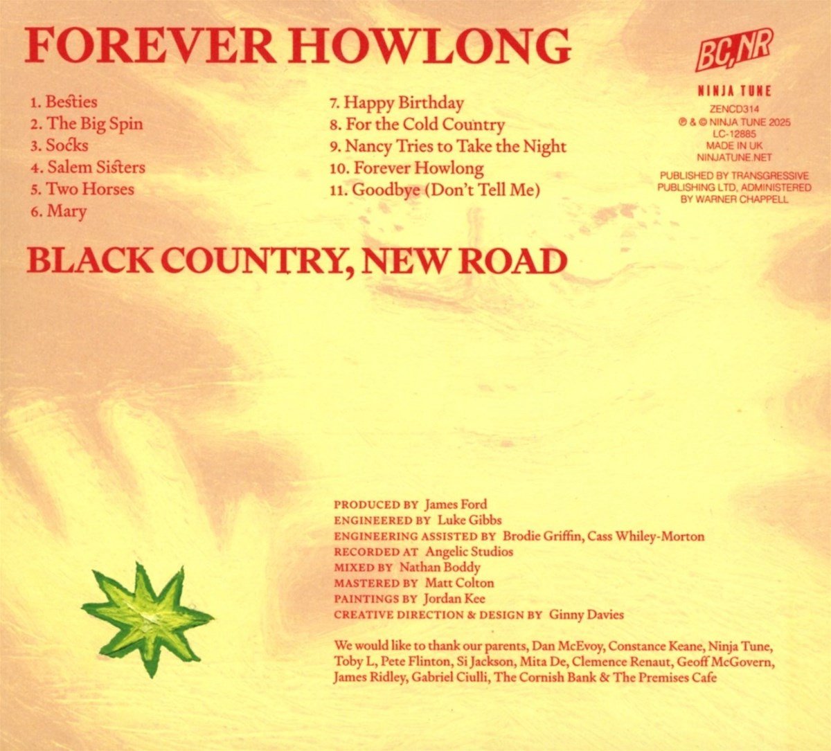 Black Country, New Road Forever Howlong - CD progressive folk