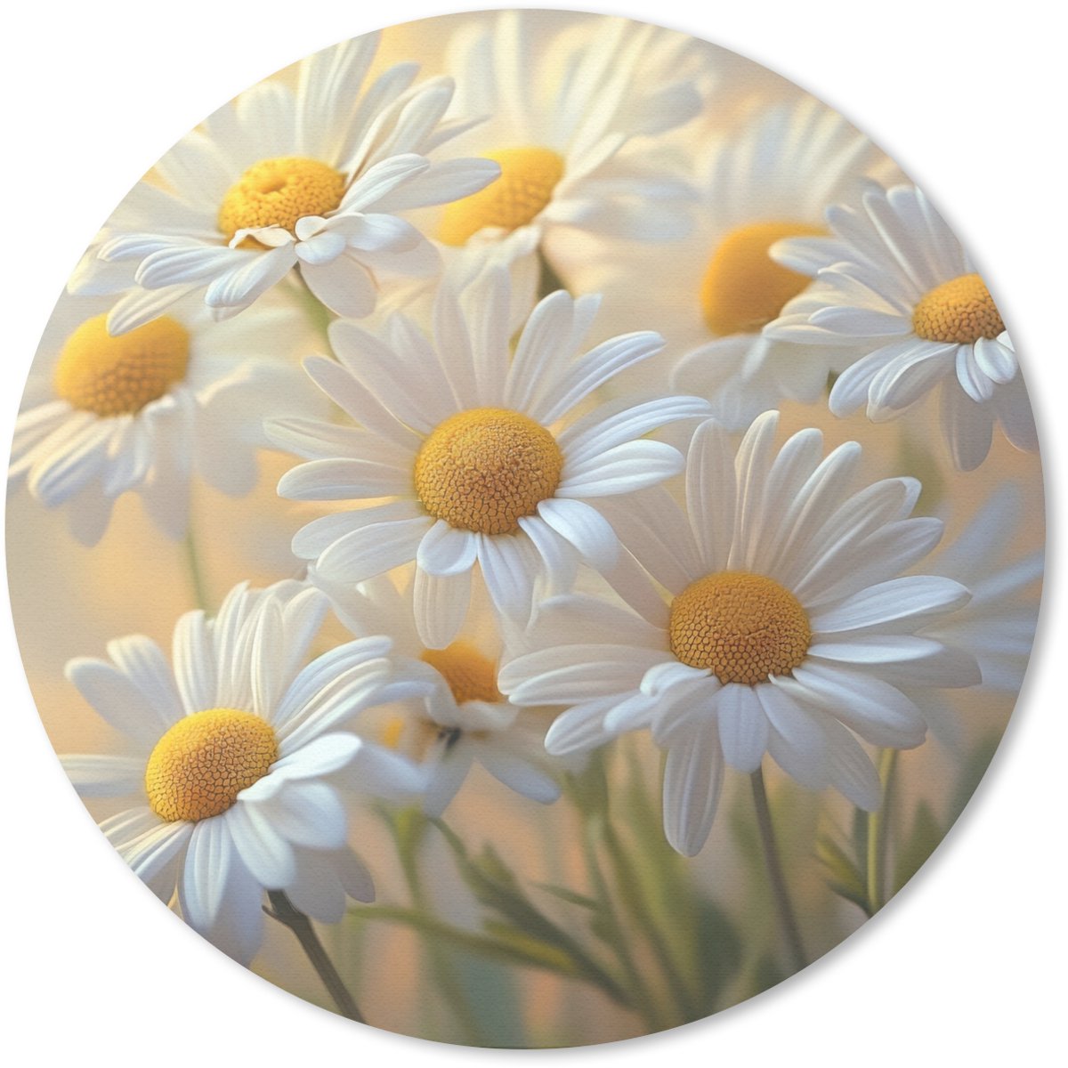 Muismat rond 50x50 cm - Mousepad Madeliefjes - Wit - Zonlicht - Ronde muismatten