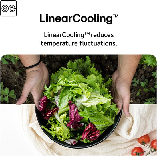 Een kom met verse salade met rode en groene bladeren, vasthouden met twee handen. Toont LinearCooling™ technologie.