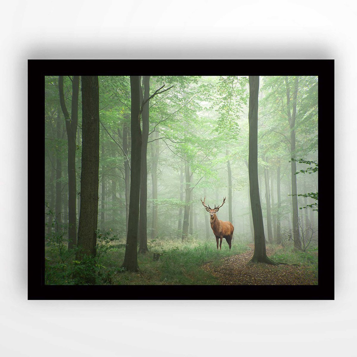 Marvellous Decoratief Ingelijst MDF-schilderij | Houten Lijst | 41 X 56 Cm - Emob - Framed_wall_art - Groen - MDF