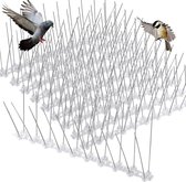 Lot de 10 pics anti-pigeons en acier inoxydable 25 x 11,5 cm - Anti-pigeons respectueux des animaux - Convient aux balcons, toits et fenêtres - Chasse les oiseaux et les chats (10 pièces - Argent)
