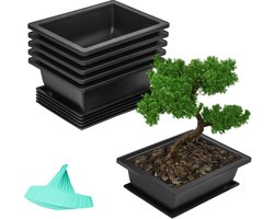 Belle Vous 6 Pak Bonsai Trainingspotten en Bevochtigingstrays - 16,5 x 22,5 cm - Duurzaam Plastic Bonsai/Bloemen/Vetplant Groeipotten met Ingebouwd Gaas voor Huis/Tuin