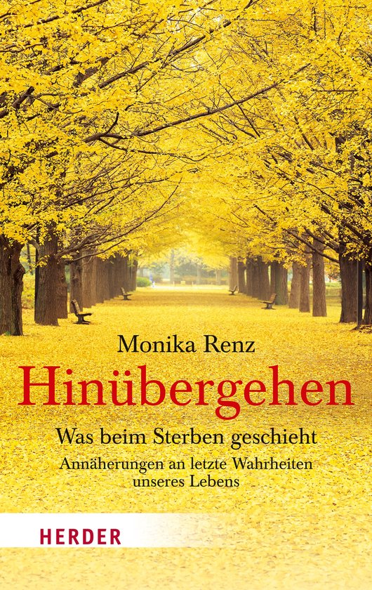 Hinübergehen - cover