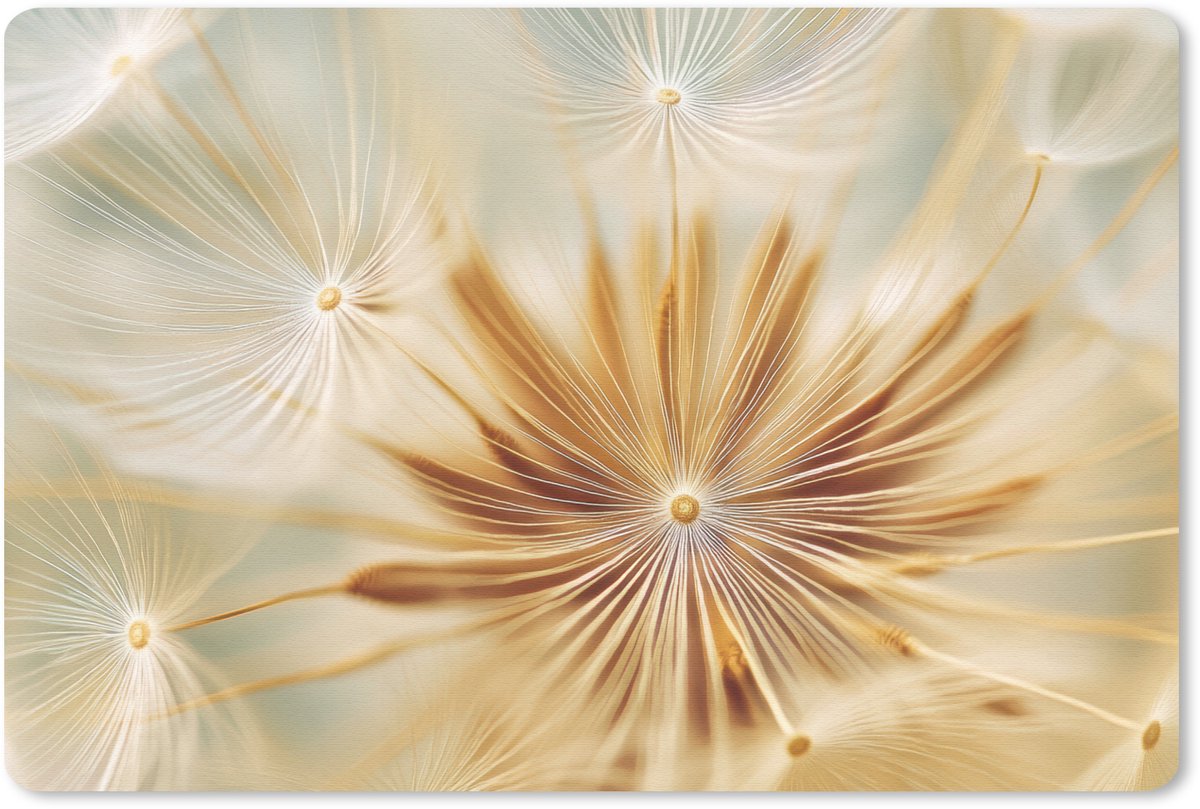 Muismat 27x18 cm - Mousepad Paardenbloem - Beige - Abstract - Modern - Natuur - Muismatten