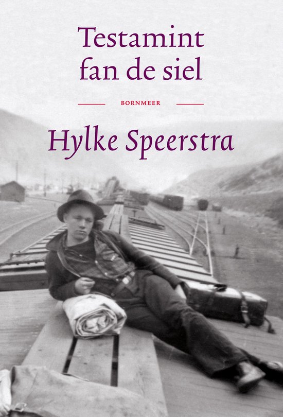 Testamint fan de siel - cover
