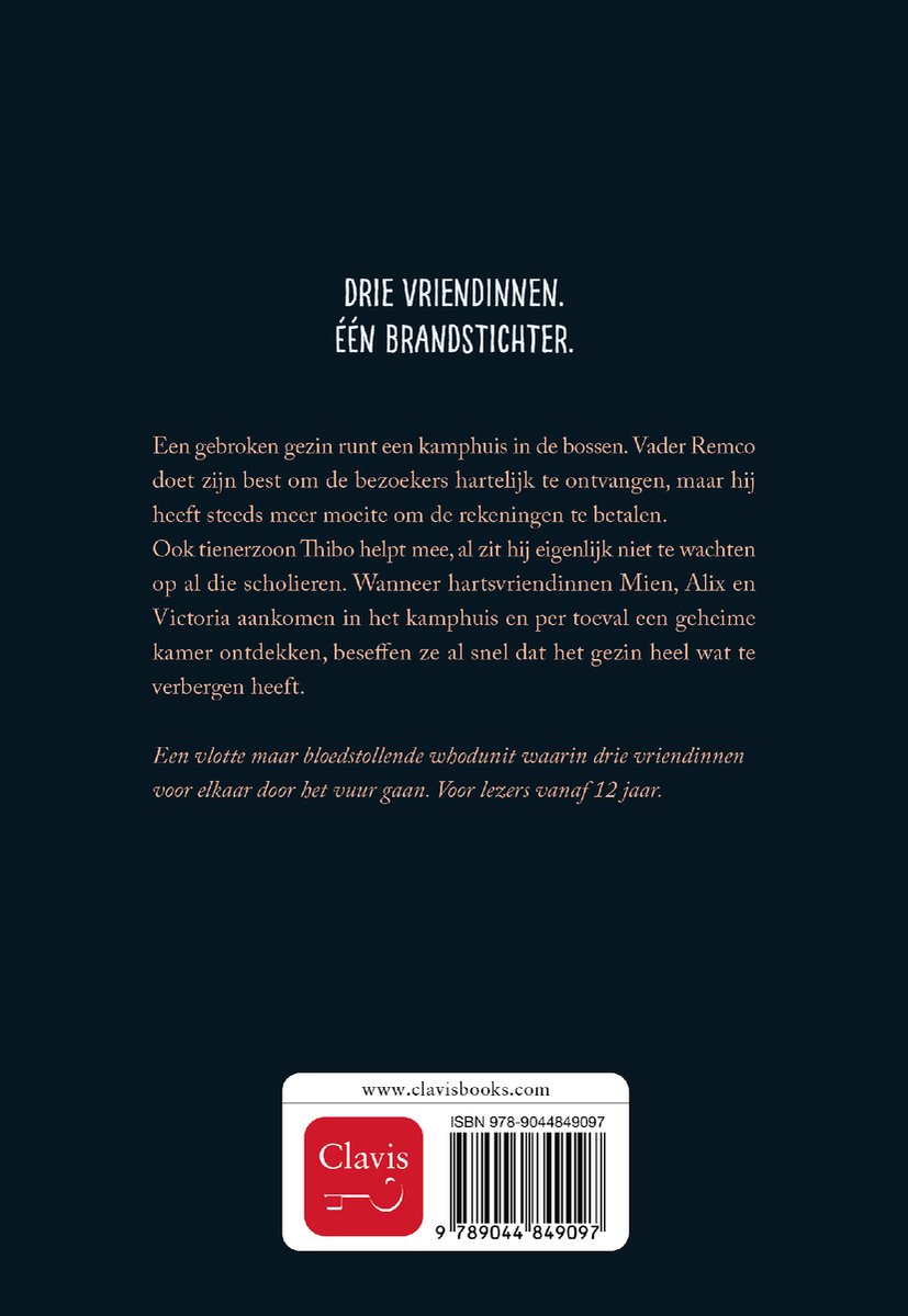 Je speelt met vuur - back cover