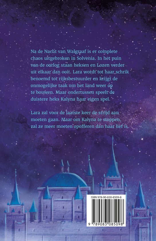 Boekomslag met tekst en een pastelkleurig kasteel met torenspitsen tegen een donkere sterrenhemel.