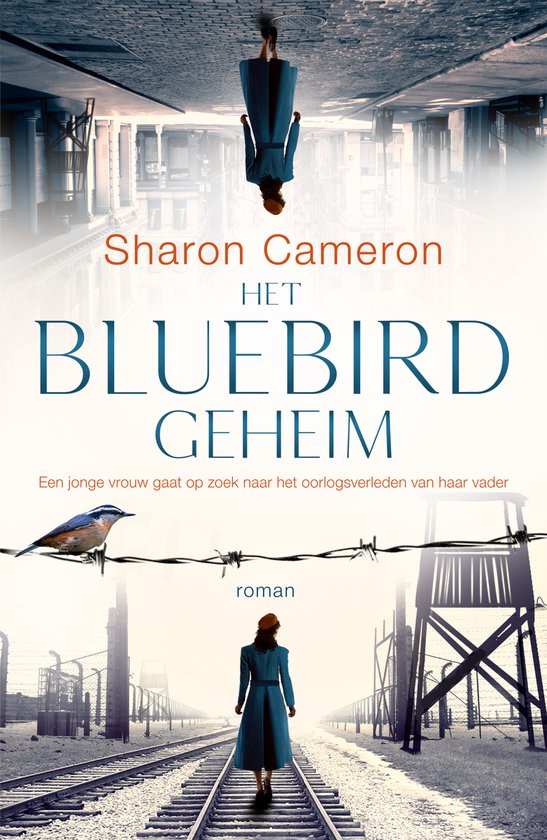 Het Bluebird geheim - cover