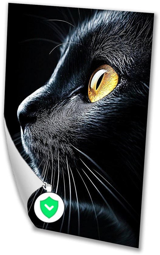 Badkamer kat muurdecoratie grappige badkamer ingelijste print dieren douche poster, toilet humor decoratie schattig wit kitten gratis verzending a3 - België