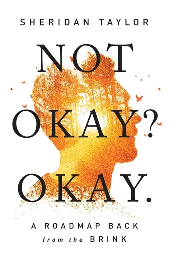 Not Okay? Okay. - cover