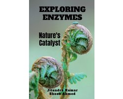 Exploring Enzymes