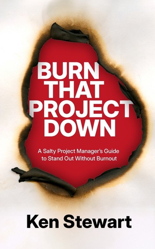 Burn That Project Down - cover