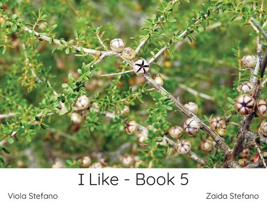I Like- I Like - Book 5 - cover