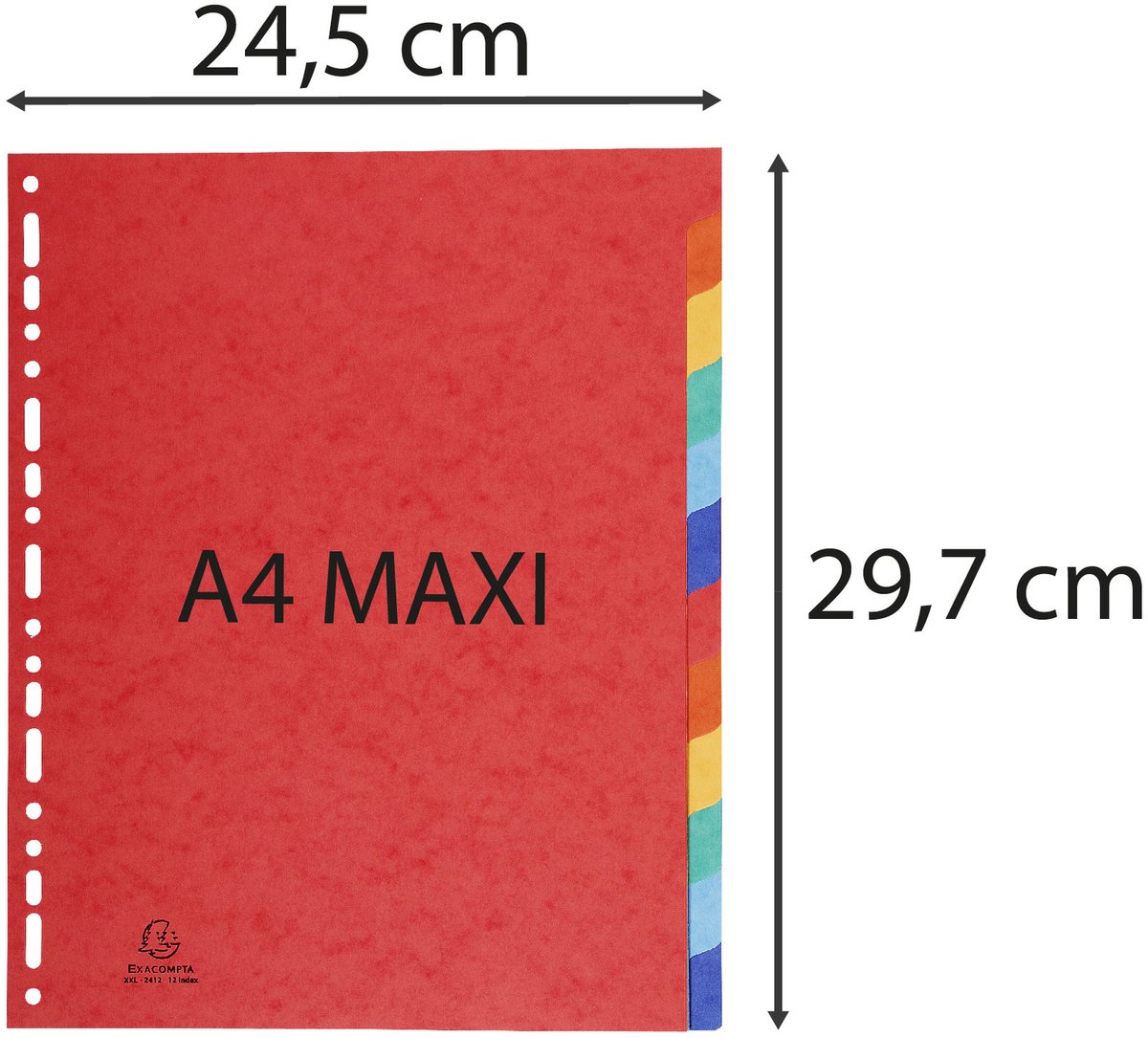 3 Jeux D'intercalaires à Onglets Neutres Exacompta - Carte Lustrée Souple A4 Maxi, 12 Onglets Couleurs