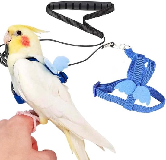 Welke Papegaai is geschikt voor Kinderen? – Vogel Leer Centrum