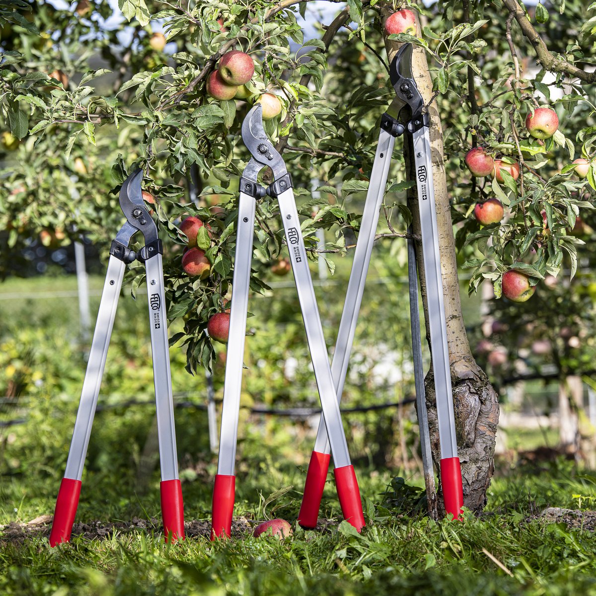 Felco 221-80 Loppers - length 80 cm - pull-cut head