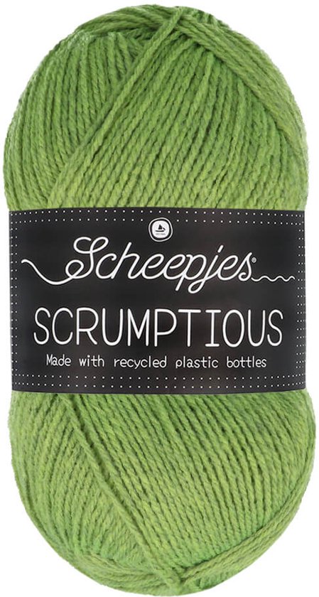 Scrumptious Rope Scheepjes Scrumptious 100gram - 326 Matcha Chiffon Cake | bol