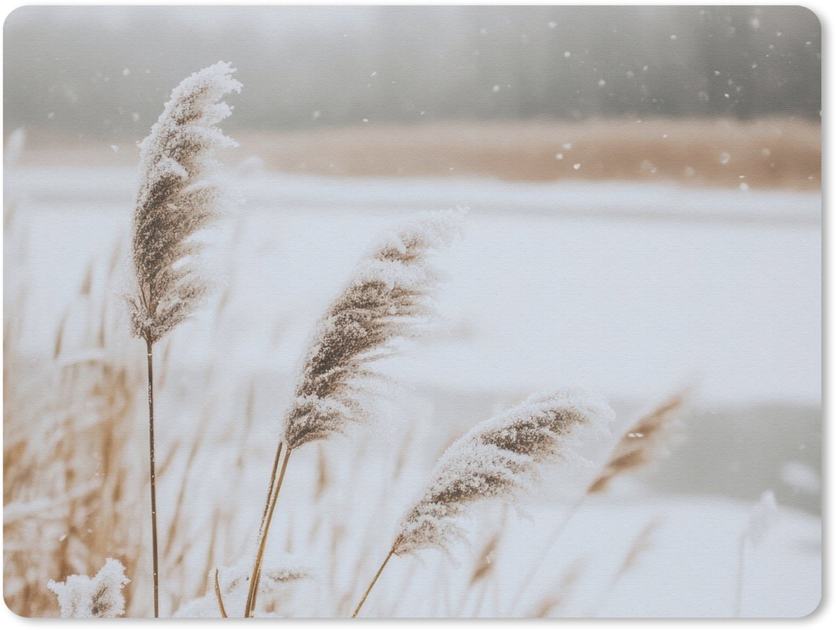 Muismat 23x19 cm - Mousepad Riet - Meer - Winter - Natuur - Sneeuw - Beige - Muismatten