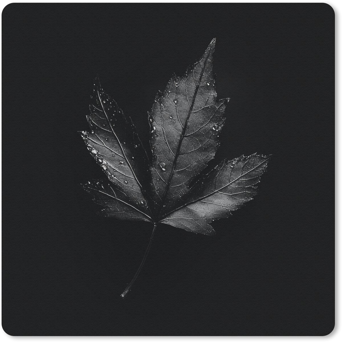 Muismat 30x30 cm - Mousepad Zwart - Blad - Muismatten