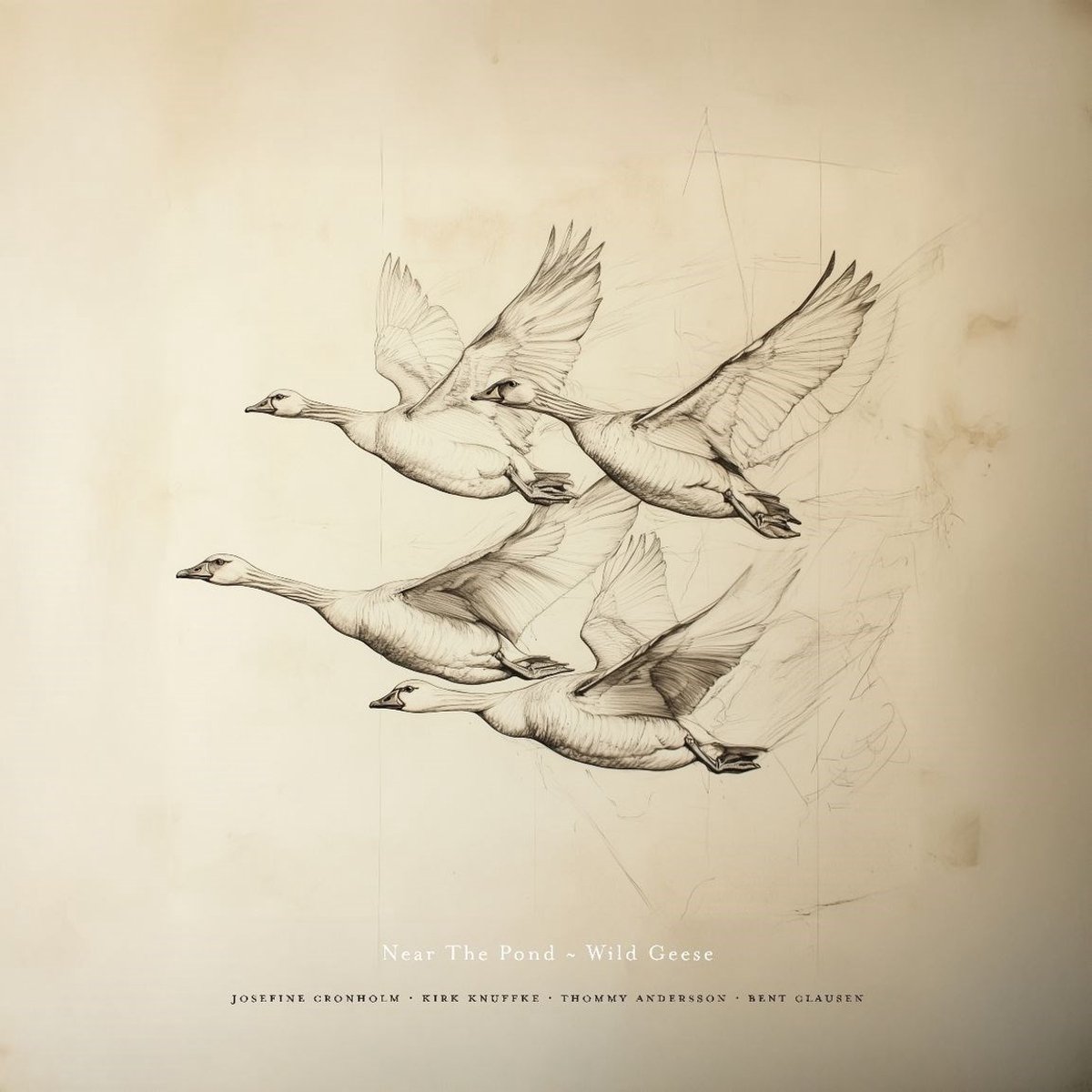 Near The Pond - Wild Geese (LP)